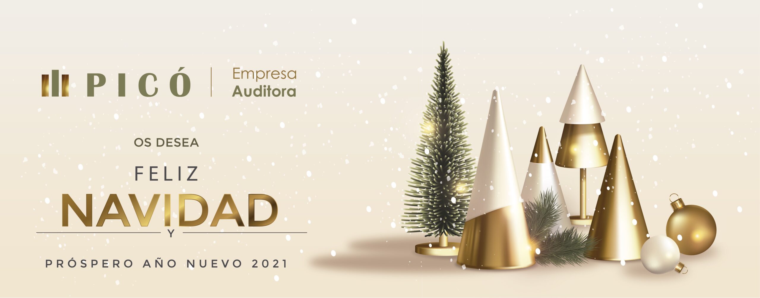 slider-web-pico-empresa-auditora_Mesa de trabajo 1